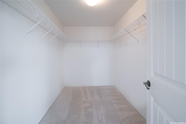 92-735 Welo St, Kapolei, HI 96707 - spacious closet with carpet