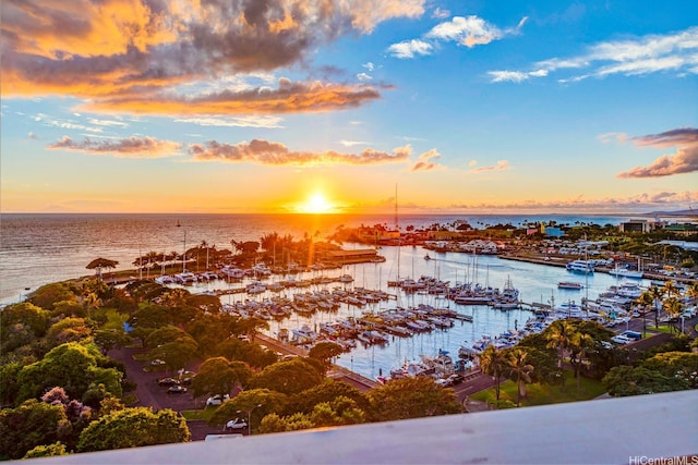 1118 Ala Moana Blvd Unit 1000, Honolulu, HI 96814 - water view featuring a marina