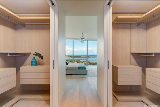 1118 Ala Moana Blvd Unit 1000, Honolulu, HI 96814 - walk in closet featuring wood finished floors