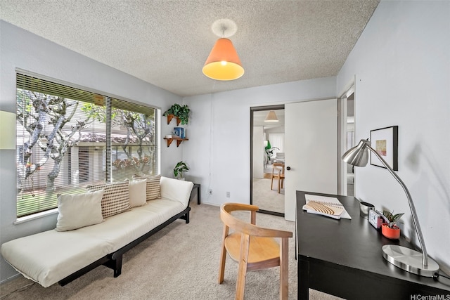 98-1712 Kaahumanu St Unit 11A, Pearl City, HI 96782 - office space with light colored carpet and a textured ceiling