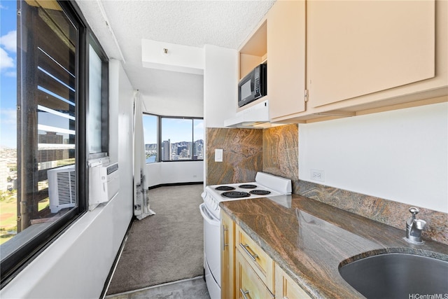 444 Niu St Unit 3806, Honolulu, HI 96815 - kitchen with white range with electric cooktop, a sink, black microwave, carpet flooring, and a textured ceiling