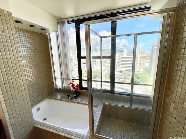 1221 Victoria St Unit 1205, Honolulu, HI 96814 - bathroom with a garden tub, a tile shower, and a city view