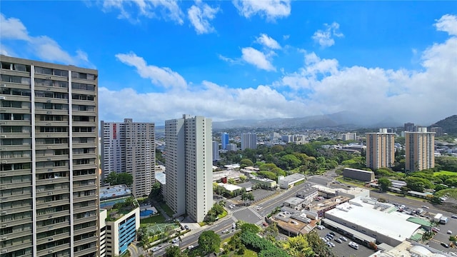 55 S Kukui St Unit D2701, Honolulu, HI 96813 - view of city