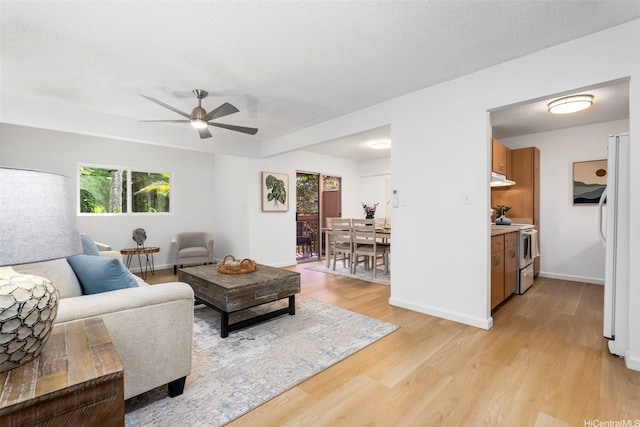 45-407 Mokulele Dr Unit 60, Kaneohe, HI 96744 - living room with light wood-type flooring, ceiling fan, and baseboards