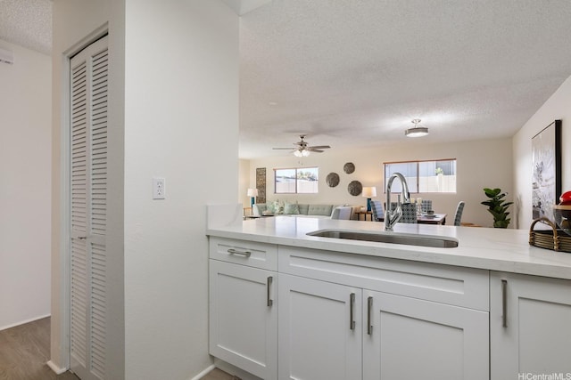 94-1444 Okupu St, Waipahu, HI 96797 - kitchen with a sink, a textured ceiling, plenty of natural light, a ceiling fan, and wood finished floors