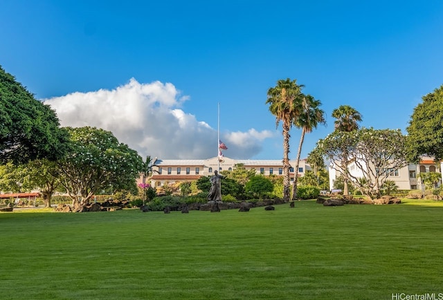 3138 Waialae Ave Unit 230, Honolulu, HI 96816 - surrounding community with a lawn