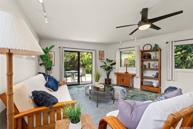 176 Kaiholu St, Kailua, HI 96734 - living area with track lighting, a ceiling fan, and carpet