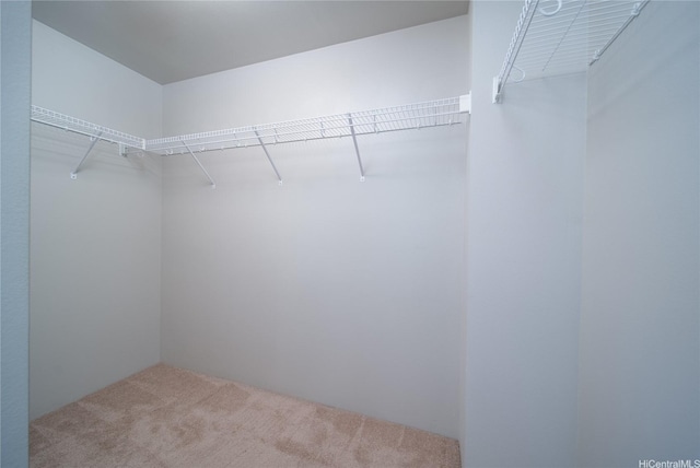 91-1160 Kamakana St Unit 608, Ewa Beach, HI 96706 - walk in closet with carpet flooring