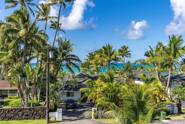 47 Kaapuni Dr, Kailua, HI 96734 - view of property hidden behind natural elements with asphalt driveway