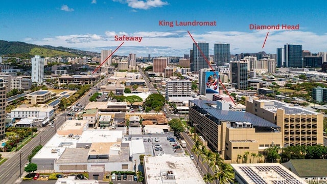 1096 S Beretania St Unit 301, Honolulu, HI 96814 - view of city