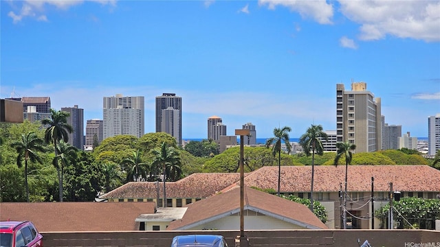 2040 Nuuanu Ave Unit 404, Honolulu, HI 96817 - view of city skyline