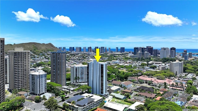 2040 Nuuanu Ave Unit 404, Honolulu, HI 96817 - skyline view with a large body of water