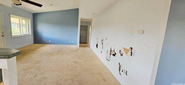 67-213 Niumaloo Pl, Waialua, HI 96791 - carpeted empty room with a ceiling fan