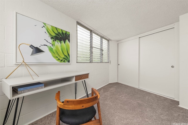 502 Captain Cook Ave Unit 301, Honolulu, HI 96813 - office space featuring a textured ceiling, carpet floors, and concrete block wall