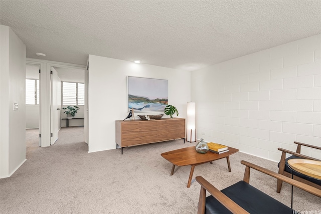 502 Captain Cook Ave Unit 301, Honolulu, HI 96813 - sitting room featuring carpet, a textured ceiling, and concrete block wall