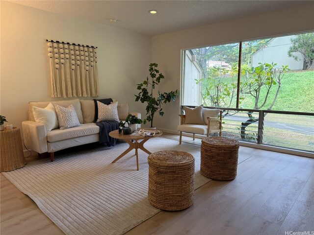 44-374 Olina St Unit 1, Kaneohe, HI 96744 - living room featuring wood finished floors and recessed lighting