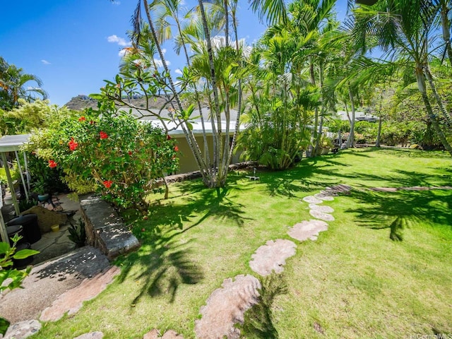 509 Lawelawe St, Honolulu, HI 96821 - view of green lawn