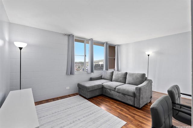 909 Ala Nanala St Unit 1401, Honolulu, HI 96818 - living room with dark wood-type flooring