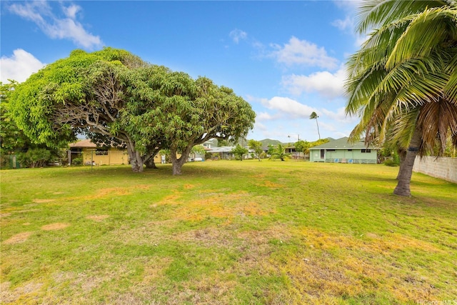 146 Kaluamoo St, Kailua, HI 96734 - view of grassy yard