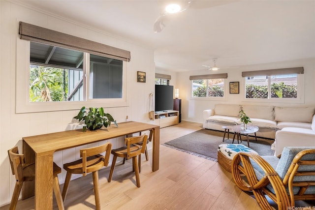 59-029 Huelo St, Haleiwa, HI 96712 - living room featuring light wood-type flooring and a ceiling fan