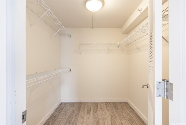 343 Hobron Ln Unit 4302, Honolulu, HI 96815 - walk in closet featuring light wood-type flooring