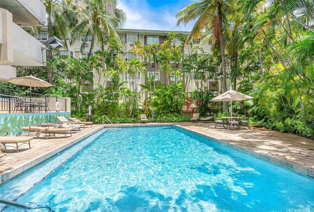 343 Hobron Ln Unit 4302, Honolulu, HI 96815 - community pool featuring a patio area