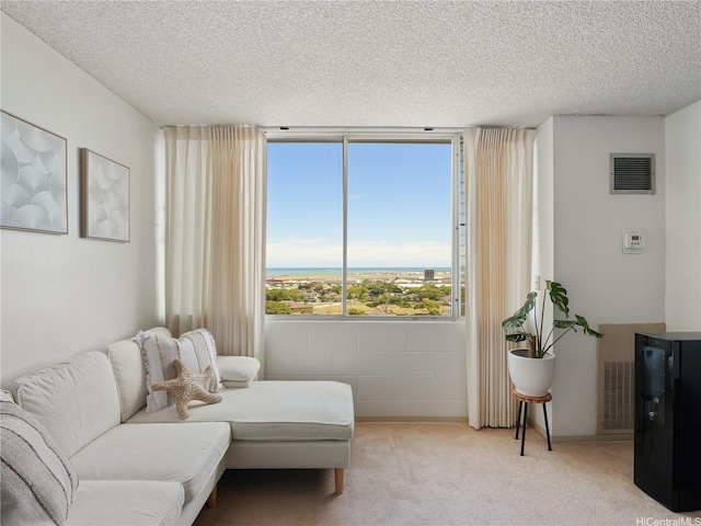 3045 Ala Napuaa Pl Unit 1416, Honolulu, HI 96818 - carpeted living room with a textured ceiling