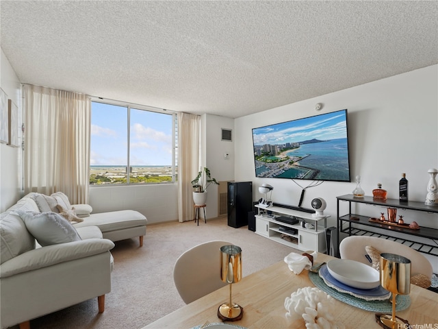 3045 Ala Napuaa Pl Unit 1416, Honolulu, HI 96818 - carpeted living area featuring a textured ceiling