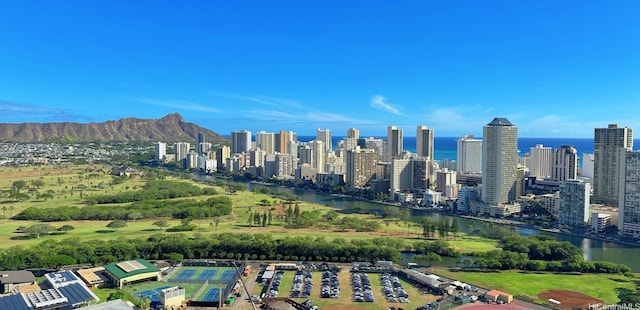 581 Kamoku St Unit 3906, Honolulu, HI 96826 - city view featuring a nearby body of water