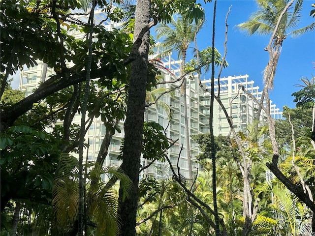 4999 Kahala Ave Unit 345, Honolulu, HI 96816 - photo 14