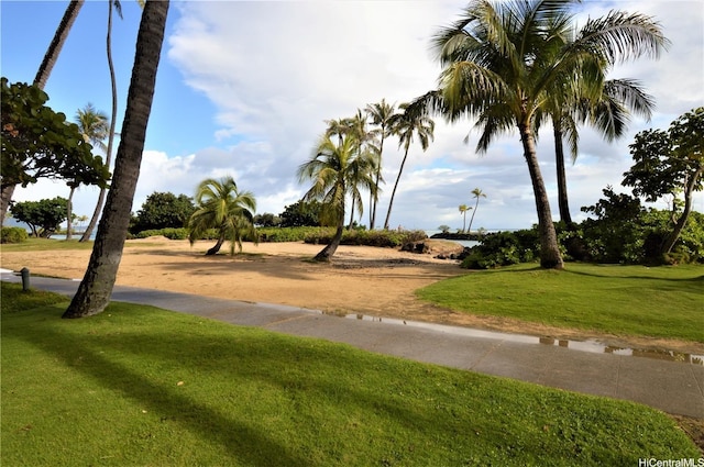 4999 Kahala Ave Unit 345, Honolulu, HI 96816 - photo 17