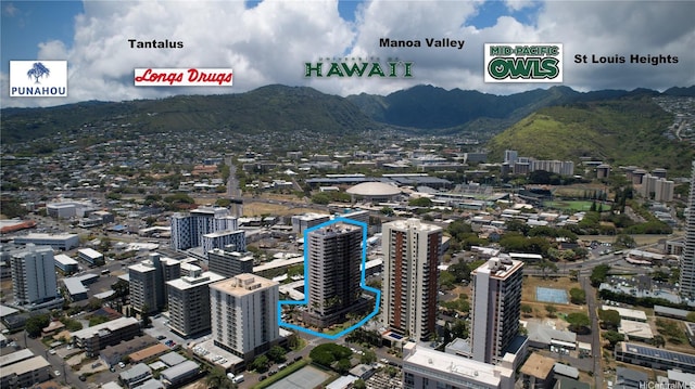 2724 Kahoaloha Ln Unit 902, Honolulu, HI 96826 - view of urban area with a mountain backdrop