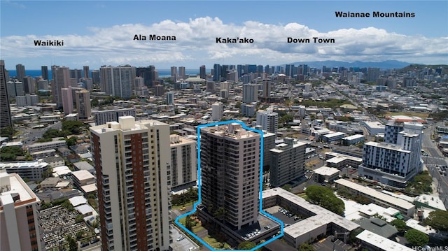 2724 Kahoaloha Ln Unit 902, Honolulu, HI 96826 - view of city skyline