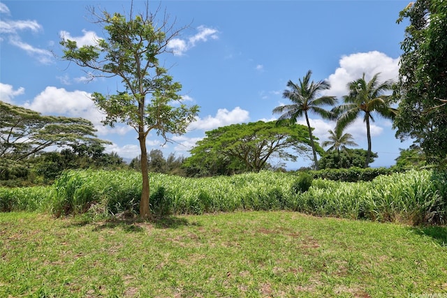 59-439 Alapio Rd, Haleiwa, HI 96712