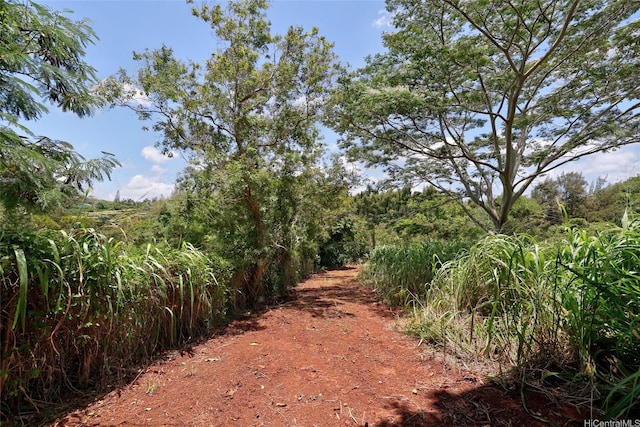 59-439 Alapio Rd, Haleiwa, HI 96712