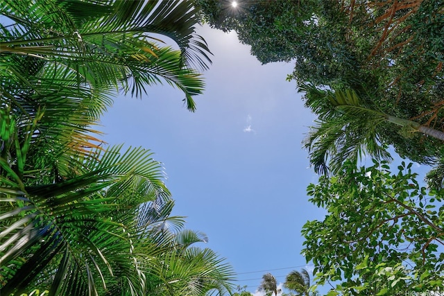59-439 Alapio Rd, Haleiwa, HI 96712