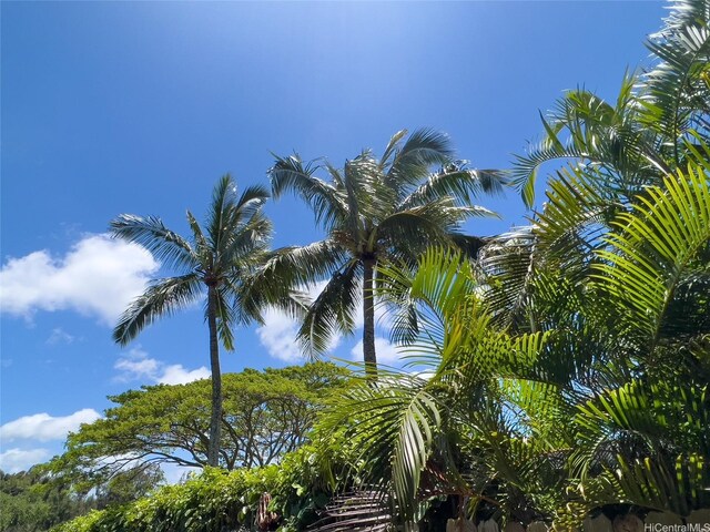59-439 Alapio Rd, Haleiwa, HI 96712