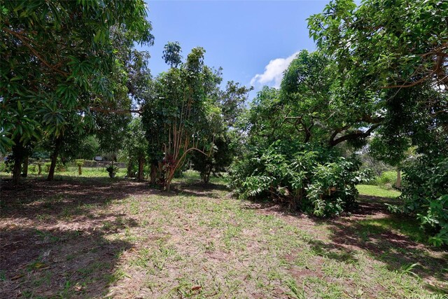 59-439 Alapio Rd, Haleiwa, HI 96712