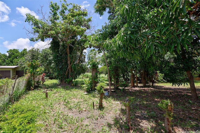 59-439 Alapio Rd, Haleiwa, HI 96712