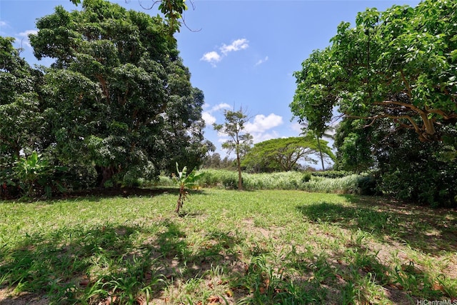 59-439 Alapio Rd, Haleiwa, HI 96712