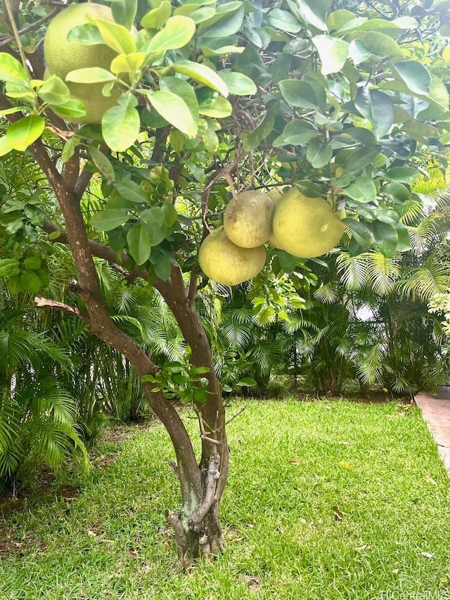 91-1708 Bond St, Ewa Beach, HI 96706 - exterior view