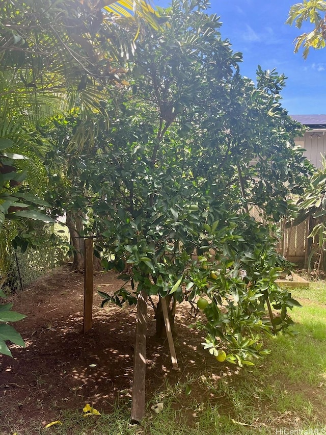 91-1708 Bond St, Ewa Beach, HI 96706 - view of yard