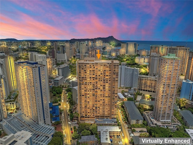 411 Hobron Ln Unit 3314, Honolulu, HI 96815 - city view