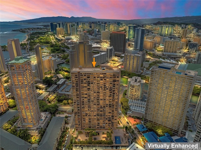 411 Hobron Ln Unit 3314, Honolulu, HI 96815 - city view with a nearby body of water