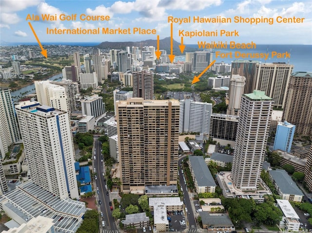 411 Hobron Ln Unit 3314, Honolulu, HI 96815 - city view with a nearby body of water