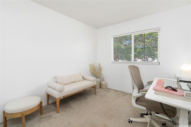 91-1059 Kaimalie St Unit 2P1, Ewa Beach, HI 96706 - view of carpeted home office