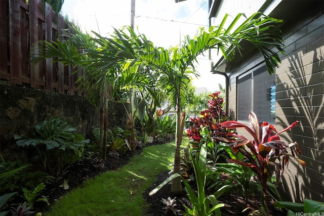 1875 Kualono St, Honolulu, HI 96817 - view of yard