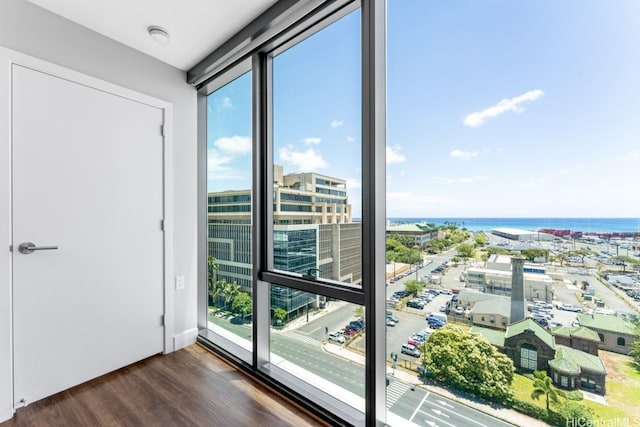 600 Ala Moana Blvd Unit 1101, Honolulu, HI 96813 - spare room with dark wood-type flooring, a water view, and a smoke detector