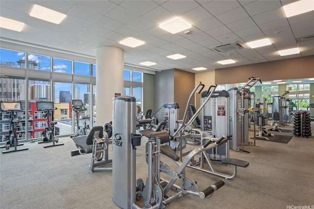 600 Ala Moana Blvd Unit 1101, Honolulu, HI 96813 - workout area featuring carpet floors and a paneled ceiling