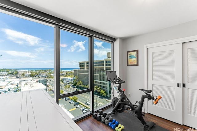 600 Ala Moana Blvd Unit 1101, Honolulu, HI 96813 - exercise room with dark wood-style flooring, a view of city, floor to ceiling windows, and a water view